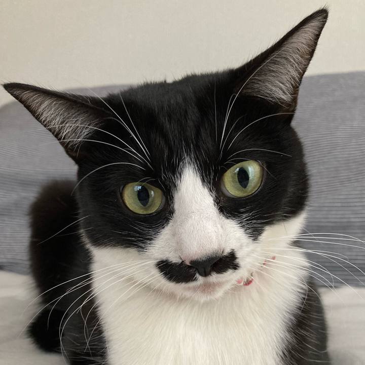 4d9410f2 a00c 46fc 9024 249706470b84 1699593864787