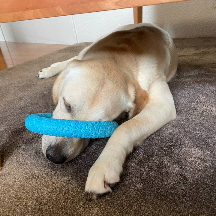 4d941cb1 184f 46e7 9934 b730969d58cf 1626509456344