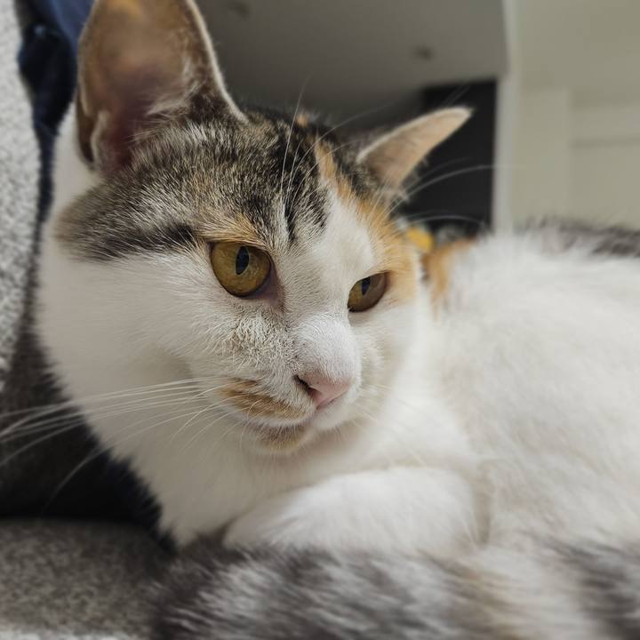 4d942956 d064 40d9 9d4e 2f8e1a57fe75 1758242953341