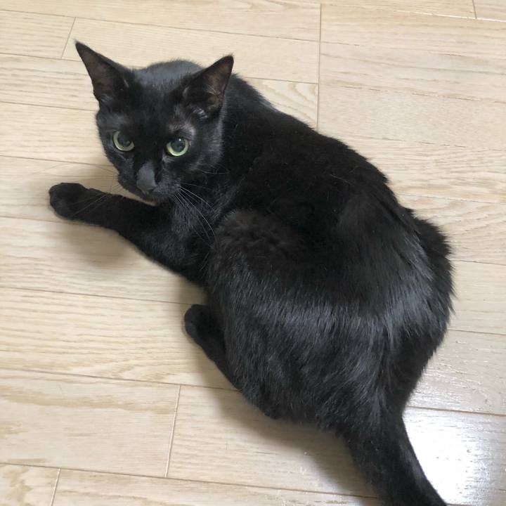 4d944b1c 5626 4200 b551 d785c97de348 1621514083267