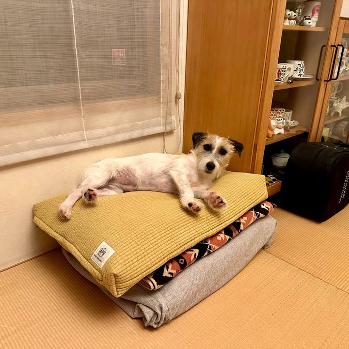 4d945092 3b16 4b94 8ece 9277c06c0bfc 1722475372519