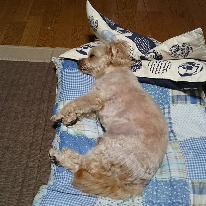 4d945cd6 2e65 4b56 9810 5b6995dea39b 1599371765309