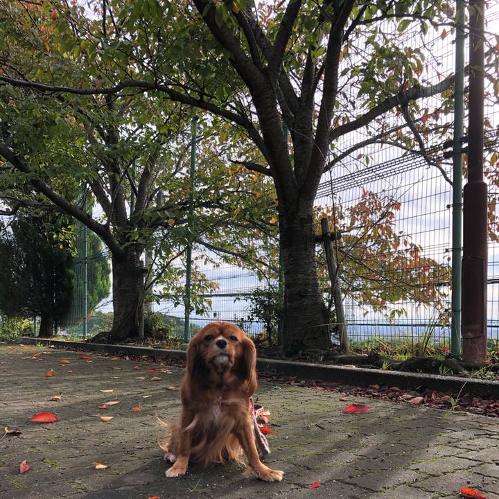 4d948840 d686 470c aa4a 706c3d174ec3 1571531519209