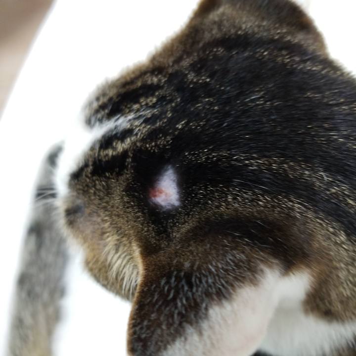 4d9497a8 3870 490e 9be3 abf2d2703867 1588463427935