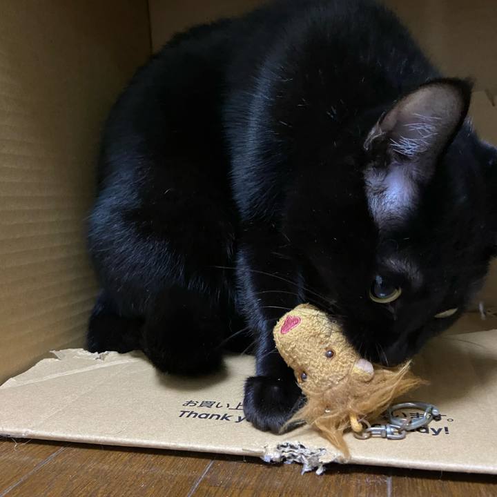 4d949bb5 4ca0 4921 807a 4283893fbddb 1635419416288