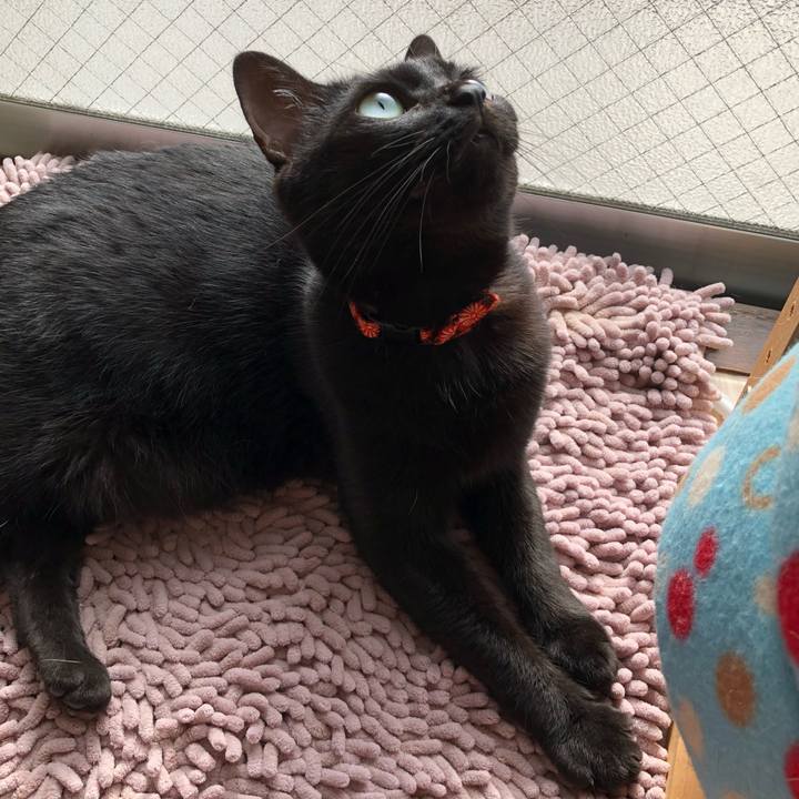 4d94d821 a193 44df 8610 11bfbae79db9 1532817711316