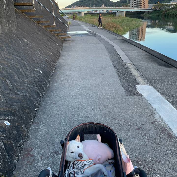 4d94e42b 07de 43cf b50f 174ed5321fa9 1663932744623