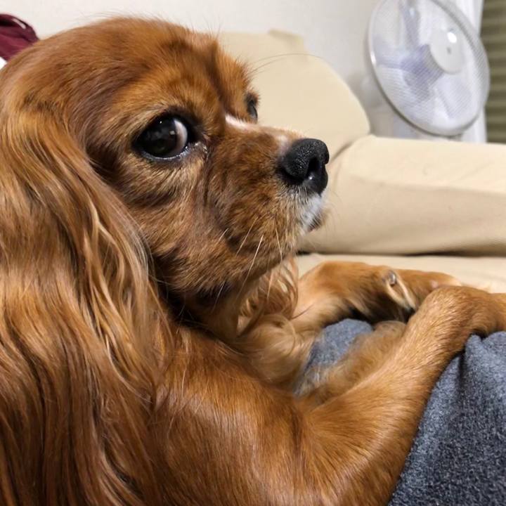 4d94ef18 d516 4496 982e 07ff3074d086 1602687008861