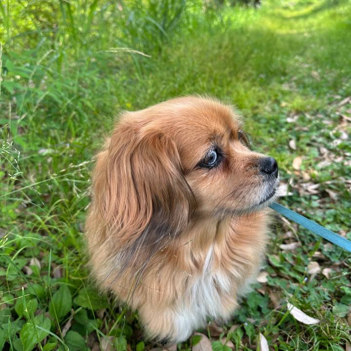 4d950036 be9c 428f 9979 582b37cf11da 1685145903943