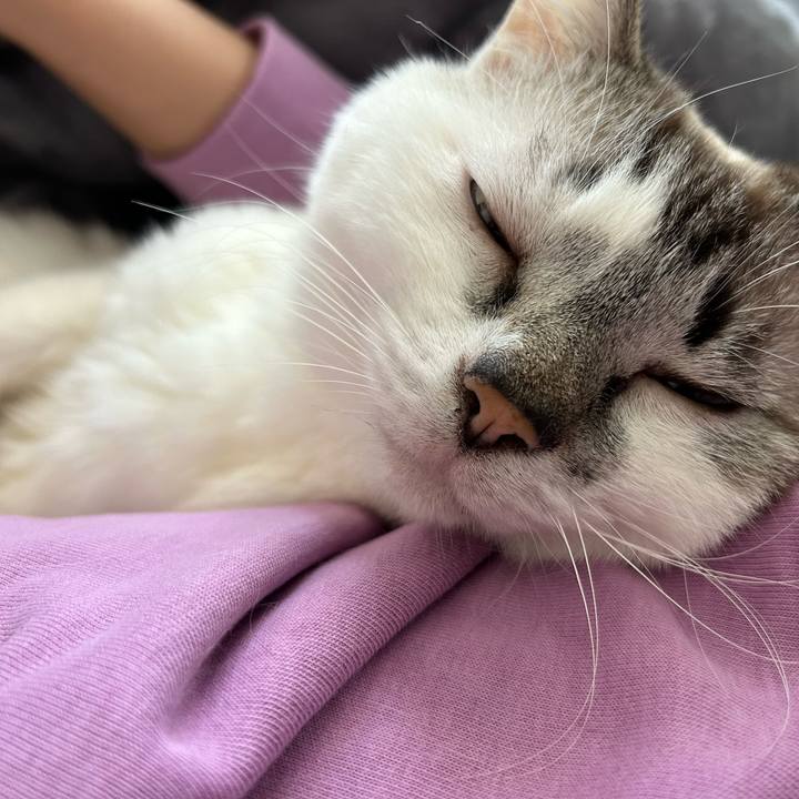 4d951403 acde 404f a935 91c5e91de3a9 1681729162315