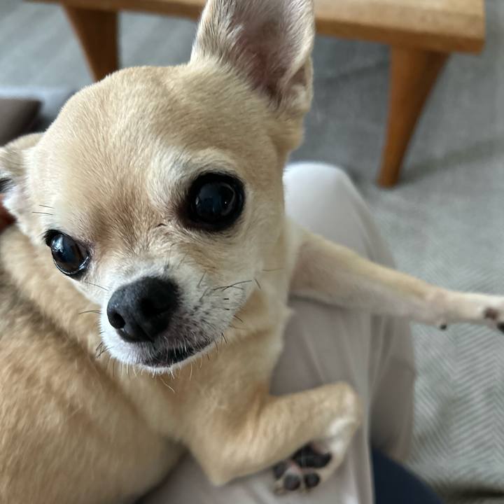 4d9536fb 431b 4e5d 98f8 4de4708171e0 1759646834753