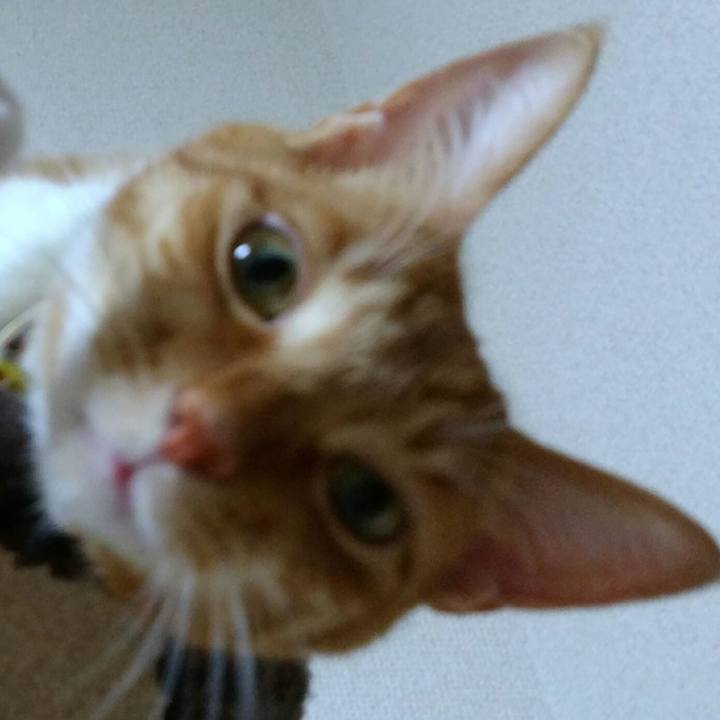 4d95a9db 2994 4ef9 afff 566a725f6964 1560711255484