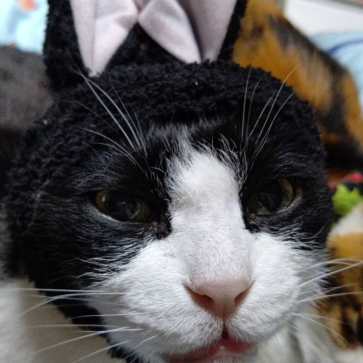 4d95b485 8e53 43cb 90cd 0db6938b13b9 1650200189514