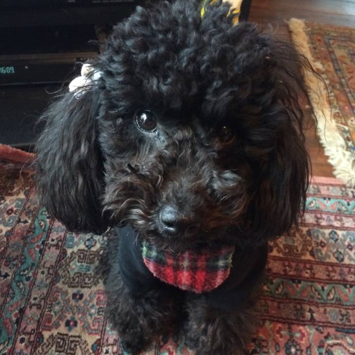 4d95eb69 bffa 4881 b641 c65e12670ef5 1525850299157