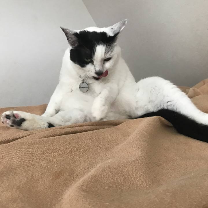 4d95f386 ce23 4e1e 90d4 ad02f7dc4d5d 1529760757411