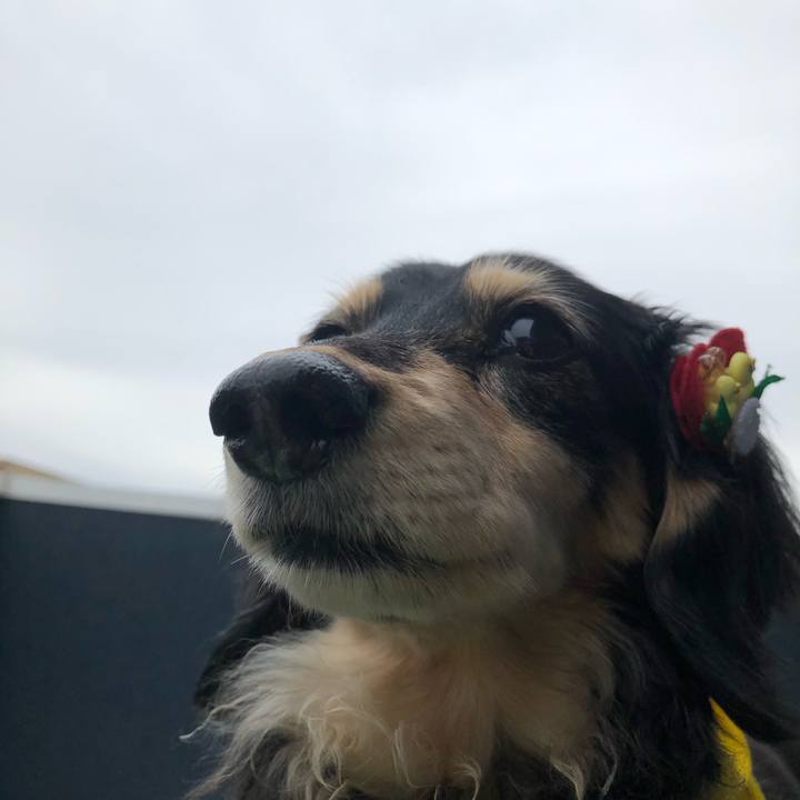 4d960560 8555 44ca 9bce 85f3a39660d5 1620347720243