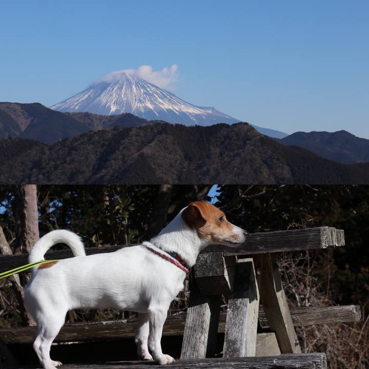 4d960b8b 265d 44df 8ba2 3cc4c473bfc1 1515222082699