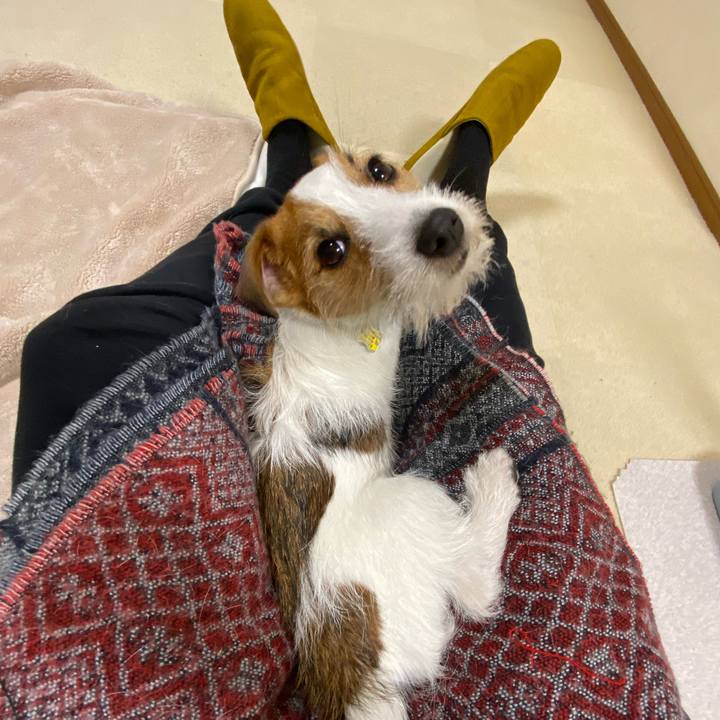 4d962967 6006 40f6 b6c2 ee76ade03dec 1675687975727