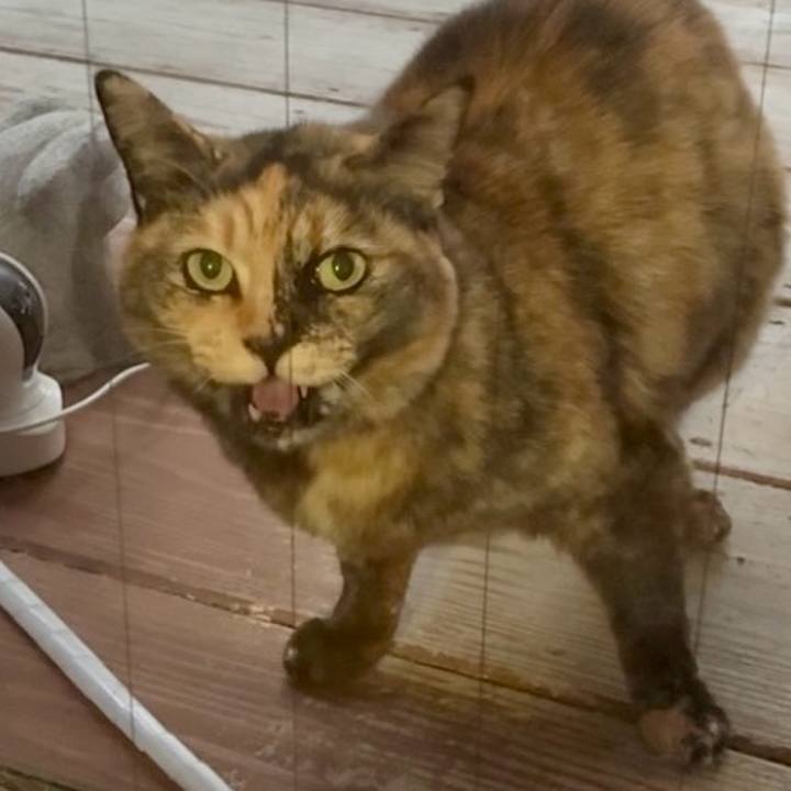 4d9631c2 e899 4981 b415 b697809f579b 1767445843405