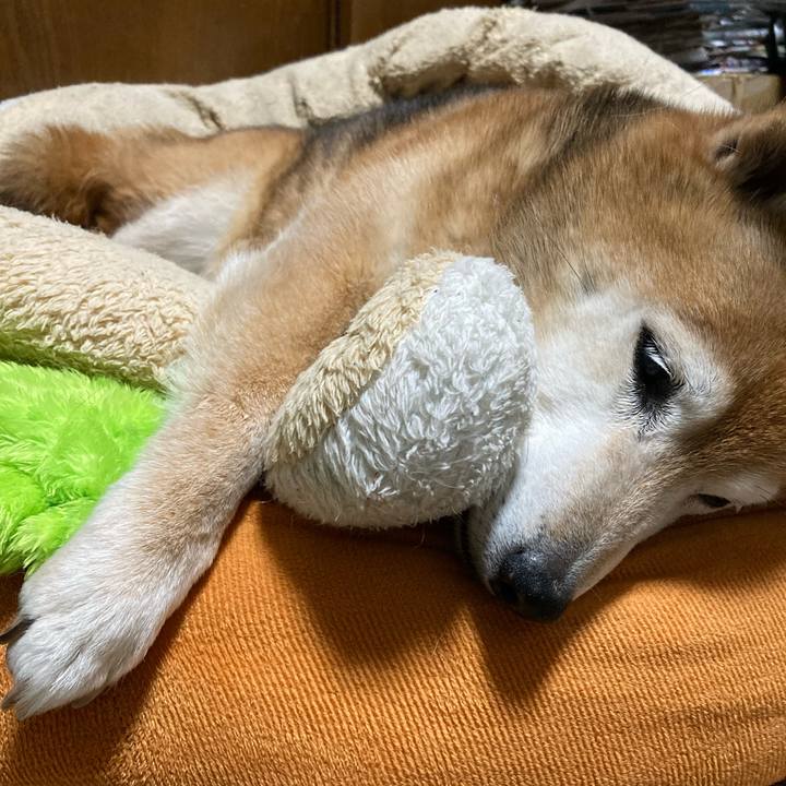 4d963df3 e69c 43e6 996f 2b6c96e7c32d 1746167679753