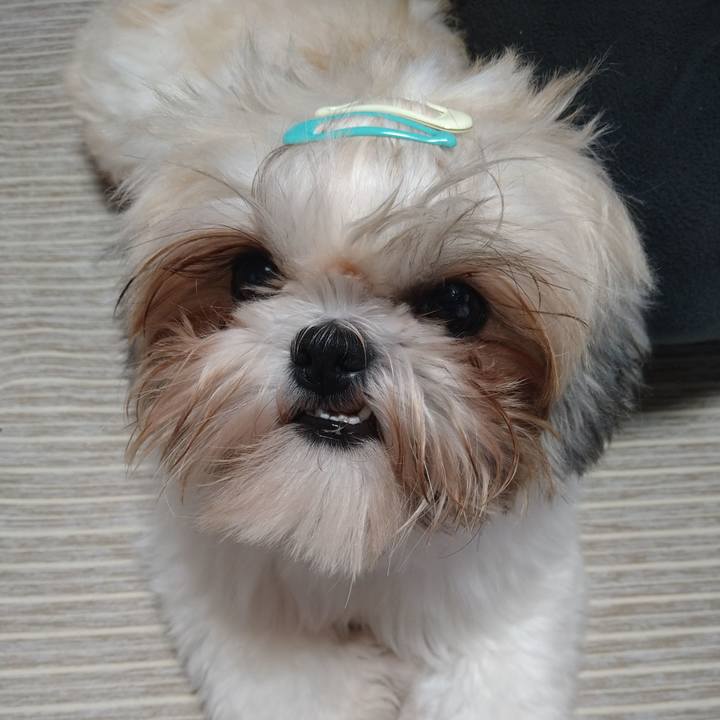 4d964536 36d6 4e1c abc8 7761235d2238 1607246093108