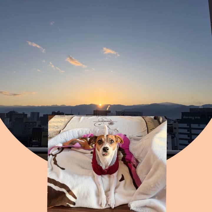 4d9677bf cabf 4c95 9fd0 de2e628c0484 1773185616404