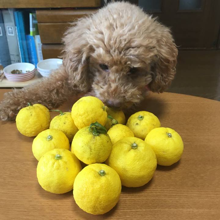 4d96a883 55b6 448b be11 d245b7ca7590 1513902490088