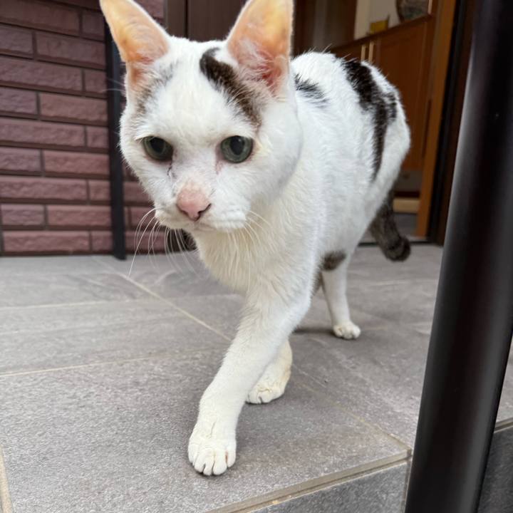 4d96c466 03d2 424c 89eb 55fedab2ce36 1766361501800