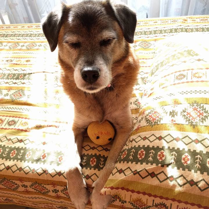 4d96de8b e4e6 4347 8245 5dadce028f1d 1514519761791