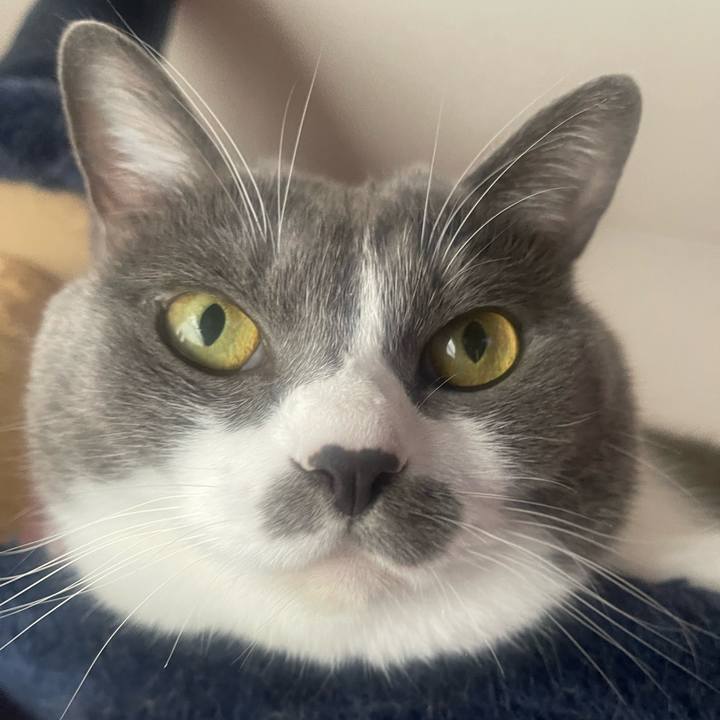 4d96e285 9bac 46b1 be60 0e572db96786 1730417092295