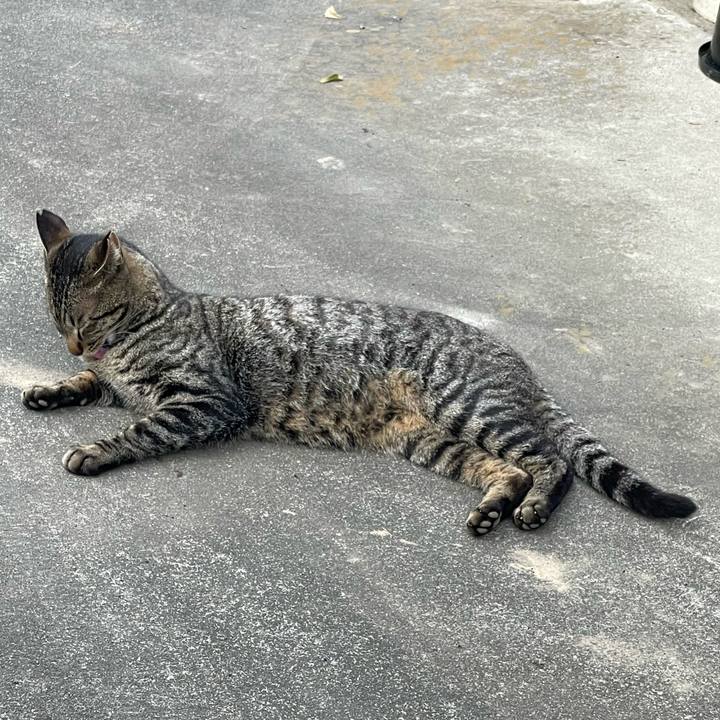 4d972716 1308 45ee 99a8 98593bea0e1f 1682672064902