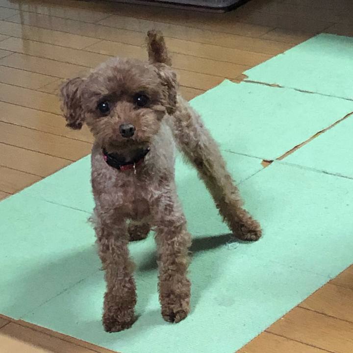 4d972c90 0d71 4941 8793 813a7a97219a 1559341811825