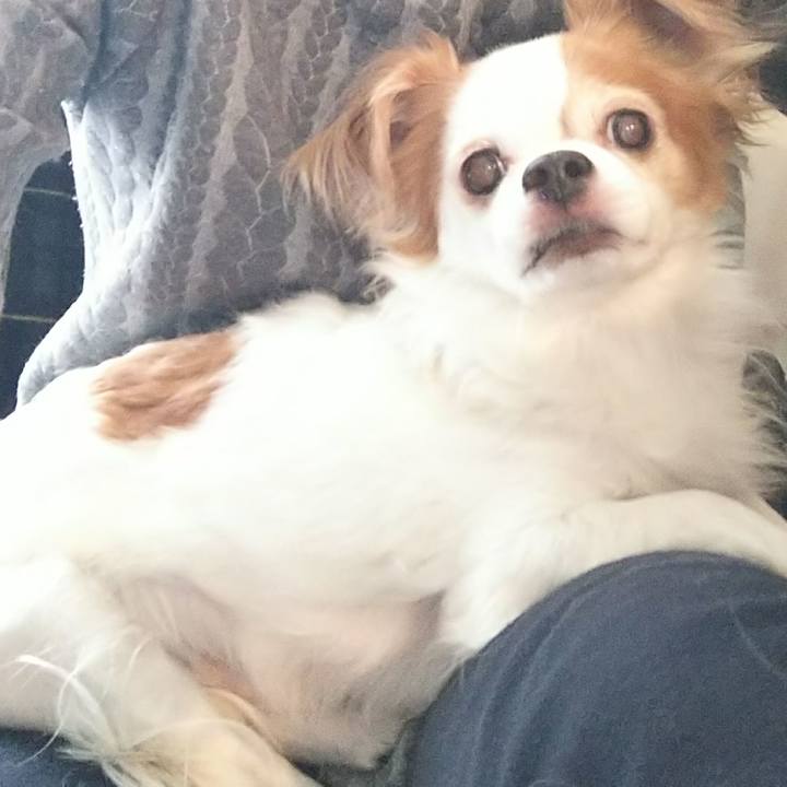 4d974c59 7344 47d4 a118 016bbf46a3db 1519780059195