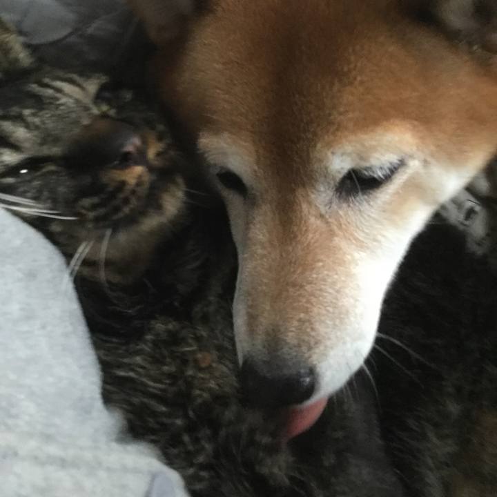 4d97dc2c 50c3 4136 98e5 cf9ce7f4c459 1605144972067