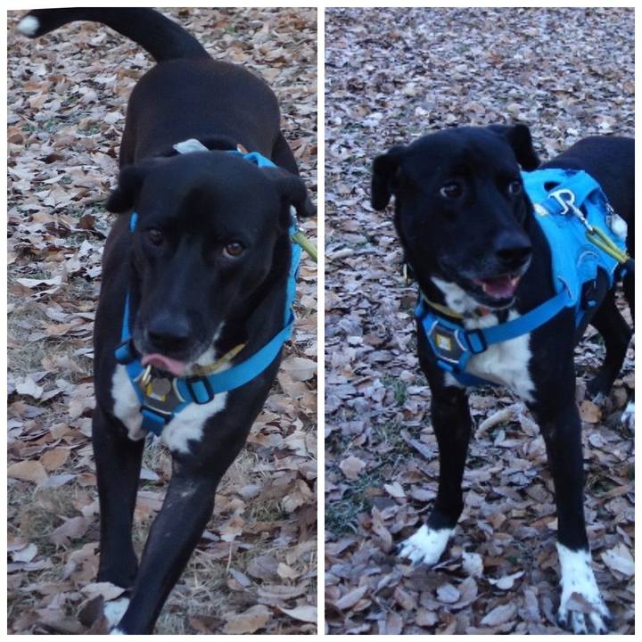 4d9813f8 51d7 4c7c 85b7 9d224168bffb 1608683212996