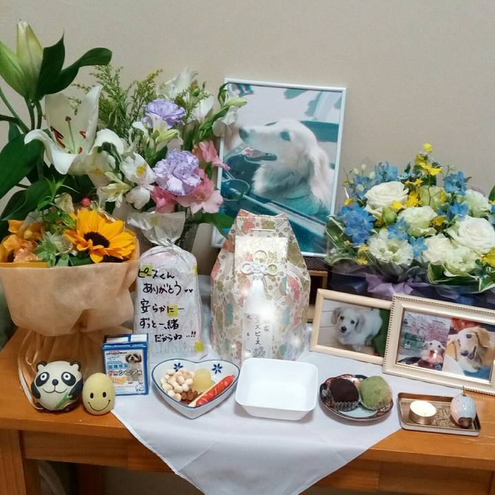 4d981482 cbb0 432c ab3a 36dadeb6d34f 1562049591033