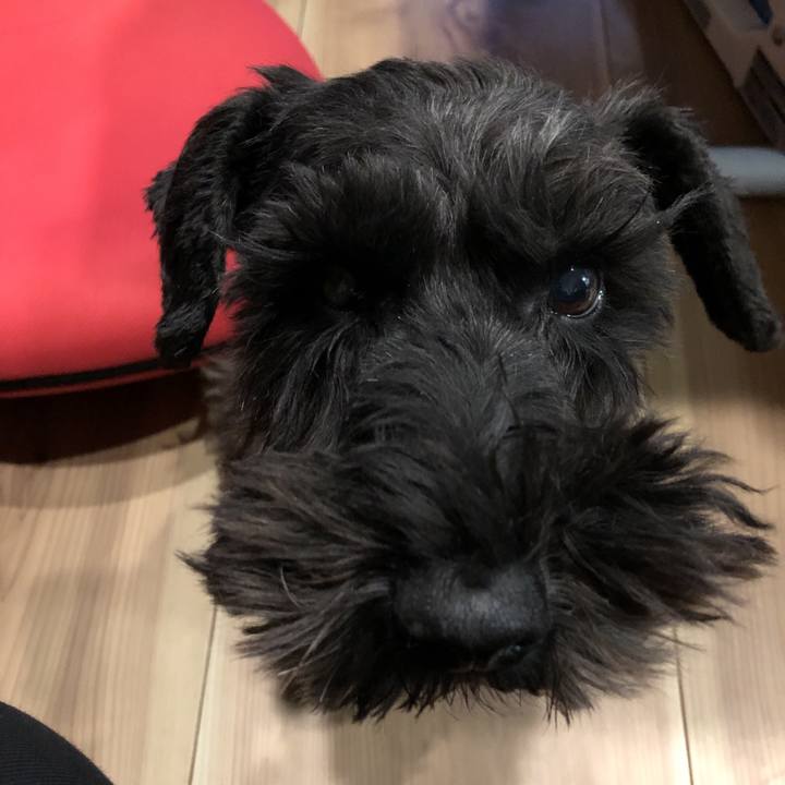 4d9838a8 ce50 45c6 b03a 7afb120a32d2 1575028566440