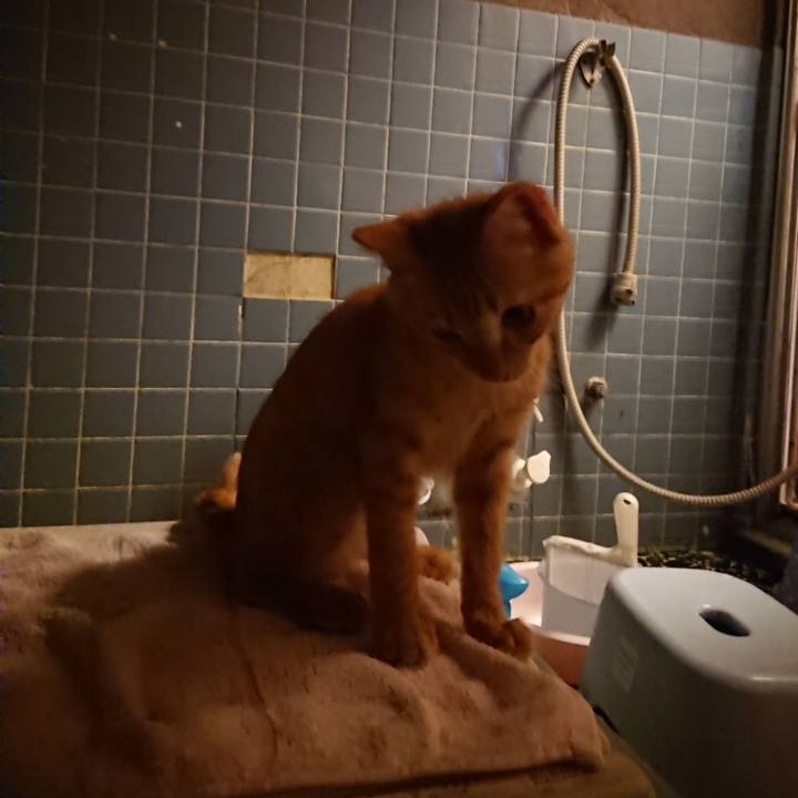 4d9857c6 c506 4e81 9d4b f8b091d3c3f3 1632310460965