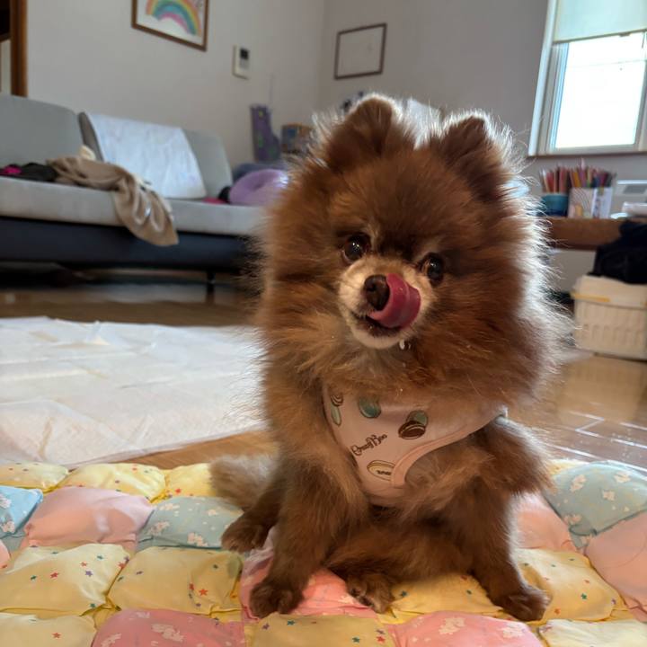 4d986b1e 129f 4812 aad7 ee96c29a561d 1768098573652