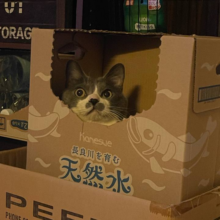 4d989aff d105 47f2 aa97 86de5b922f0a 1742977371636