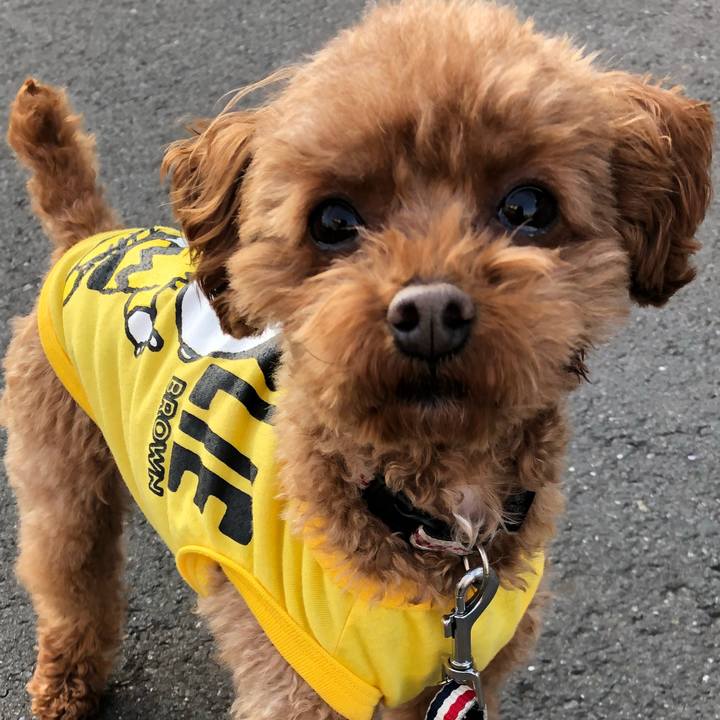 4d98bb35 8d5d 457f a2b0 fc8eea935203 1551510749976