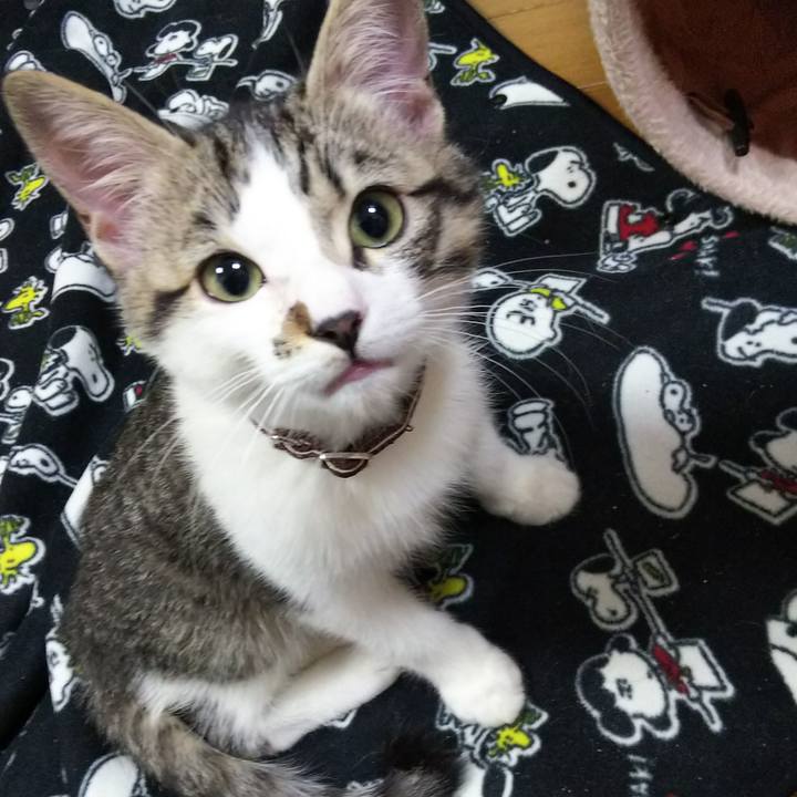 4d98bd8f ab10 4cb1 b7e1 d3b8c78b00ea 1615280929466