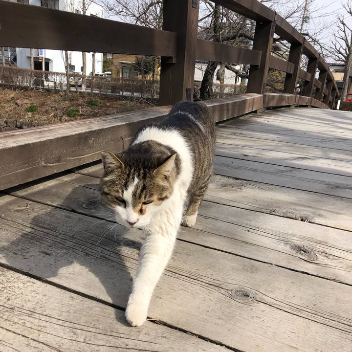 4d99058e 4886 4ab9 b33a 5fcf9a4d8048 1711583933413