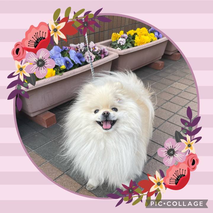 4d992583 3b53 4ae6 90df 4de8870104eb 1646120058343