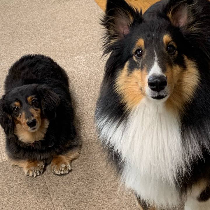 4d996d71 f0de 4be0 89de e2d3376fba85 1558992603554