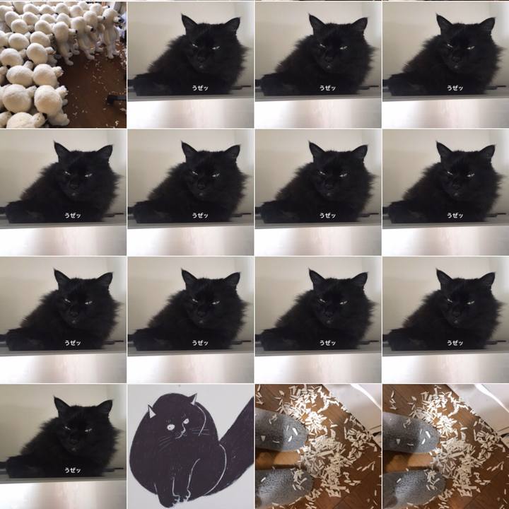 4d997315 467f 4fd2 8f8c 29752aee8412 1552385873901