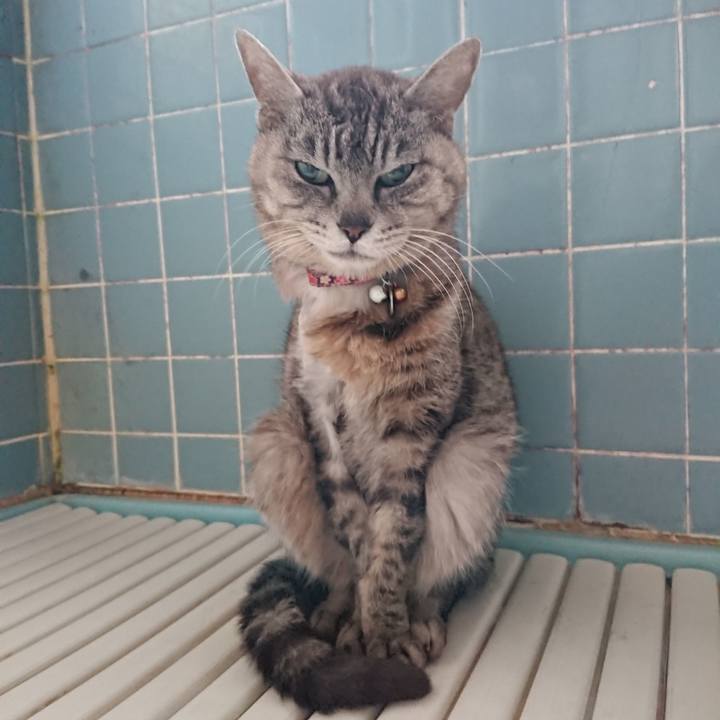 4d9973ed 1149 4a8b 8869 dbf26c0cd9d9 1591474800506