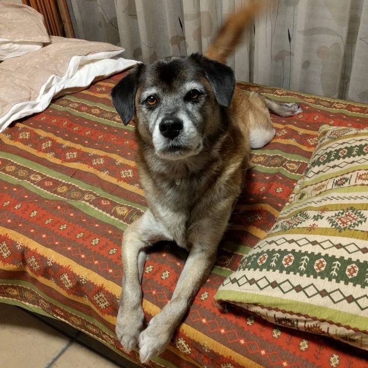 4d998698 1825 43b9 8f7d 34a12f2288f0 1509614726914