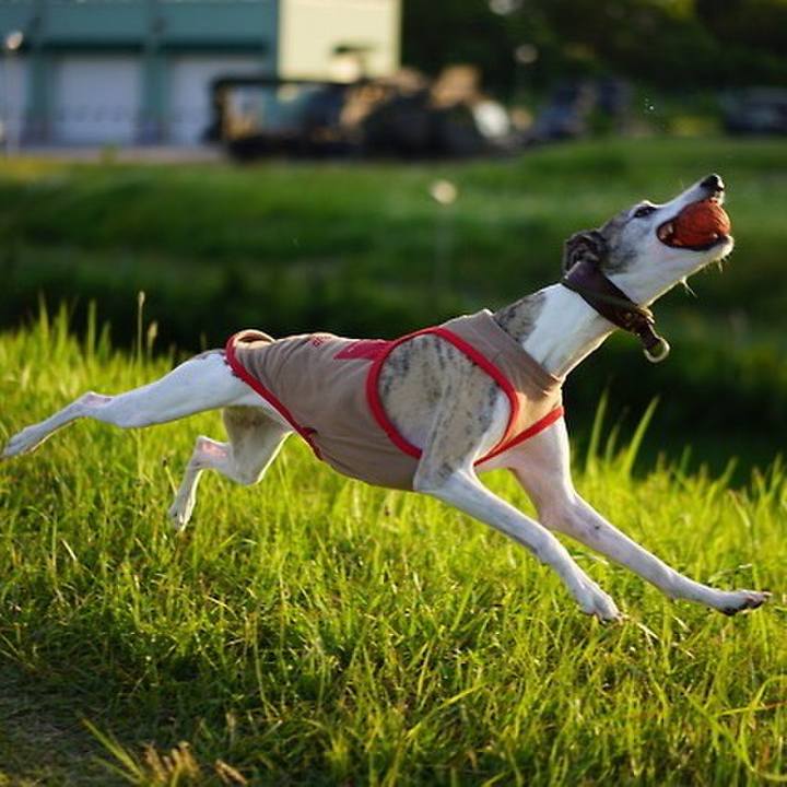 4d99b6fe 546c 4025 b8dd 4e21e478e1bb 1538315319890