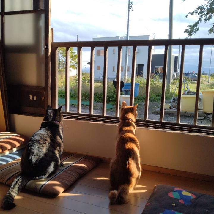 4d99c840 4079 4cf0 bc68 be4e8f32420f 1665467094646